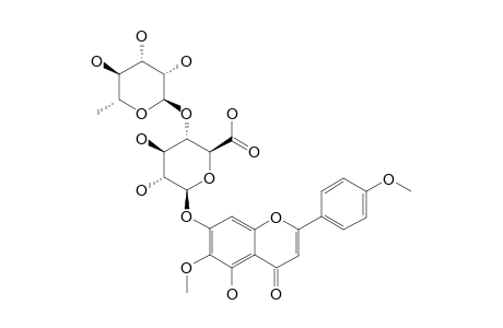 #3;PECTOLINARIGENIN-7-O-ALPHA-L-RHAMNOPYRANOSYL-(1'''->4'')-BETA-D-GLUCURONOPYRANOSIDE;5,7-DIHYDROXY-6,4'-DIMETHOXY-FLAVONE-7-O-ALPHA-L-RHAMNOPYRANOSYL-(1'''->