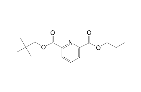 2,6-Pyridinedicarboxylic acid, neopentyl propyl ester