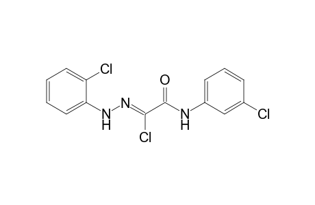 (1Z)-2-(3-chloroanilino)-N-(2-chlorophenyl)-2-keto-acetohydrazonoyl chloride