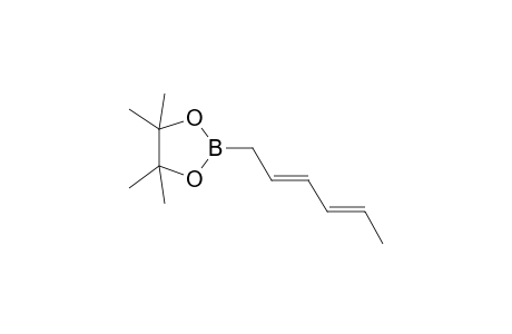 (2E,4Z)-4,4,5,5-Tetramethyl-2-(2,4-hexadienyl)-1,3,2-dioxaborolane