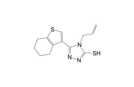 4-allyl-5-(4,5,6,7-tetrahydro-1-benzothien-3-yl)-4H-1,2,4-triazole-3-thiol