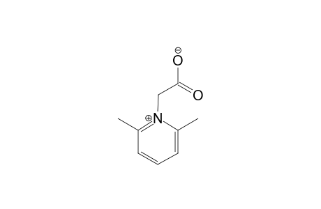 2,6-DIMETHYLPYRIDINIUM-1-ACETATE