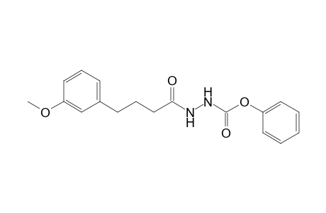 N-[4-(3-methoxyphenyl)butanoylamino]carbamic acid phenyl ester