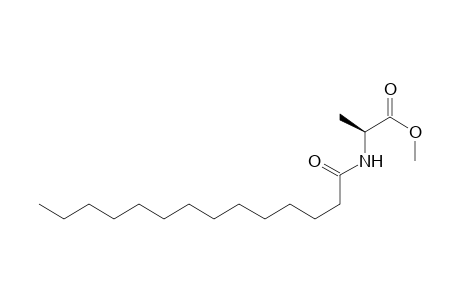 (S)-N-(Tetradecanoyl)alanine Methyl Ester