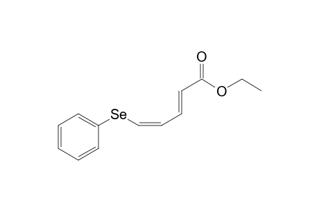 Ethyl 5-Phenylselanyl-2,4-pentadienoate isomer