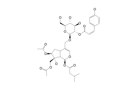 VIBURTINOSIDE_B;7-O-ACETYL-VIBURTINOSID_III