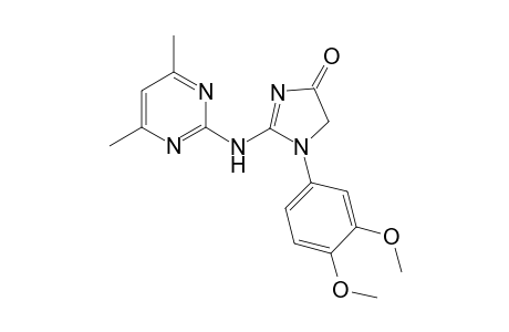 1-(3,4-dimethoxyphenyl)-2-[(4,6-dimethylpyrimidin-2-yl)amino]-2-imidazolin-4-one
