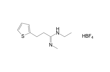 hydrogen tetrafluoroborate, compound with N-ethyl-N'-methyl-2-thiophenepropionamidine (1:1)