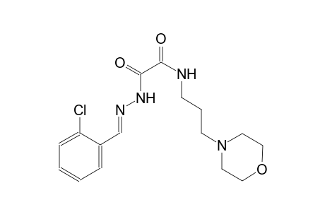 2-[(2E)-2-(2-chlorobenzylidene)hydrazino]-N-[3-(4-morpholinyl)propyl]-2-oxoacetamide