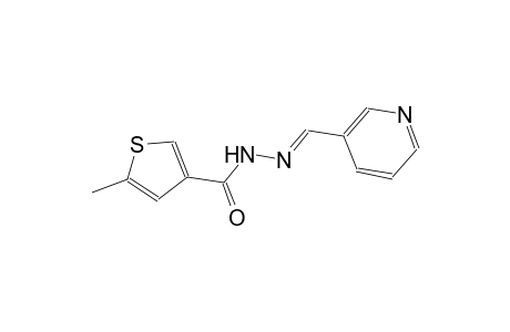5-methyl-N'-[(E)-3-pyridinylmethylidene]-3-thiophenecarbohydrazide