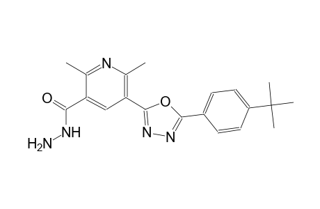 5-[5-(4-tert-butylphenyl)-1,3,4-oxadiazol-2-yl]-2,6-dimethylnicotinohydrazide