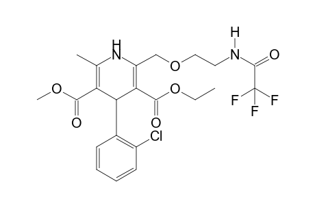 Amlodipine TFA