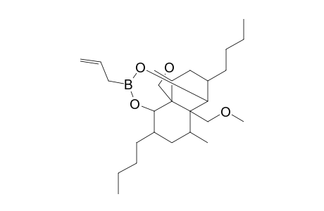 (1R,5R,6R,8R,9R,10R,11R,13R)-3-ALLYL-6,13-DIBUTYL-9,10-BIS-METHOXYMETHYL-8,11-DIMETHYL-2,4-DIOXA-3-BORA-TRICYCLO-[7.4.0.0(5,10)]-TRIDECANE