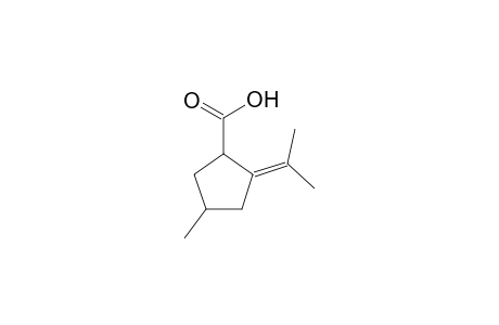 4-Methyl-2-(methylethenyl)cyclopentanecarboxylic acids