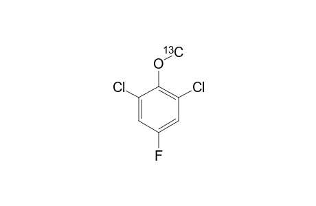 2,6-DICHLOR-4-FLUOR-ANISOLE