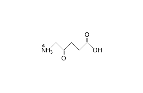 5-Ammonio-levulinic acid, cation