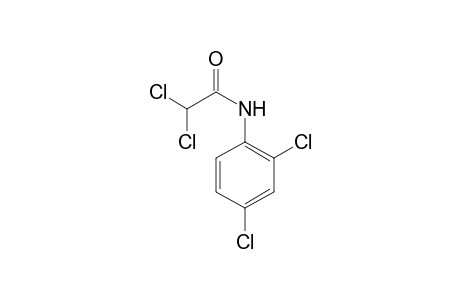 2,2-bis(chloranyl)-N-(2,4-dichlorophenyl)ethanamide