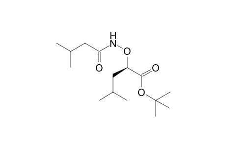 tert-butyl (2R)-4-methyl-2-(3-methylbutanoylamino)oxy-pentanoate