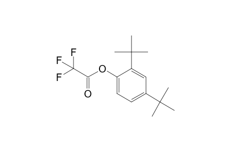 2,4-di-tert-butylphenol,trifluoroacet ester