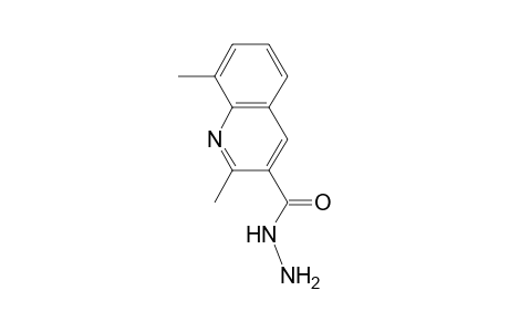 2,8-Dimethyl-3-quinolinecarbohydrazide