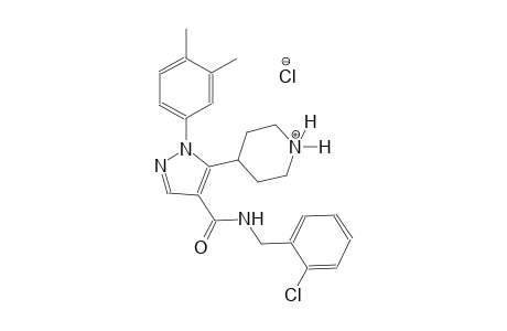piperidinium, 4-[4-[[[(2-chlorophenyl)methyl]amino]carbonyl]-1-(3,4-dimethylphenyl)-1H-pyrazol-5-yl]-, chloride
