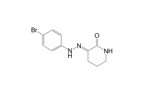 (3E)-2,3-piperidinedione 3-[(4-bromophenyl)hydrazone]