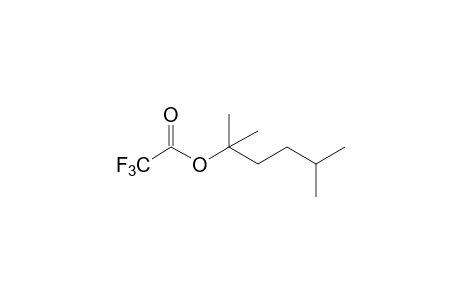 trifluoroacetic acid, 2,5-dimethyl-2-hexyl ester