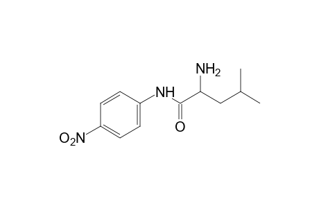 2-amino-4-methyl-4'-nitrovaleranilide