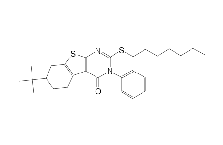 7-tert-butyl-2-(heptylsulfanyl)-3-phenyl-5,6,7,8-tetrahydro[1]benzothieno[2,3-d]pyrimidin-4(3H)-one