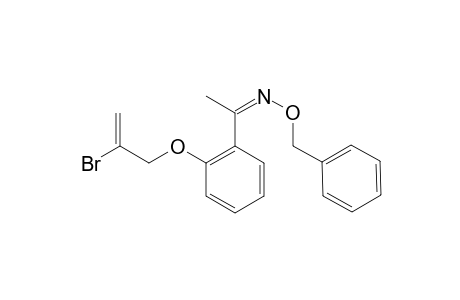 2-(2-BROMOALLYLOXY)-PHENYL-METHYL-KETONE-O-BENZYLOXIME;MINOR-ISOMER