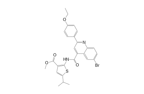 methyl 2-({[6-bromo-2-(4-ethoxyphenyl)-4-quinolinyl]carbonyl}amino)-5-isopropyl-3-thiophenecarboxylate