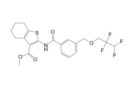 methyl 2-({3-[(2,2,3,3-tetrafluoropropoxy)methyl]benzoyl}amino)-4,5,6,7-tetrahydro-1-benzothiophene-3-carboxylate