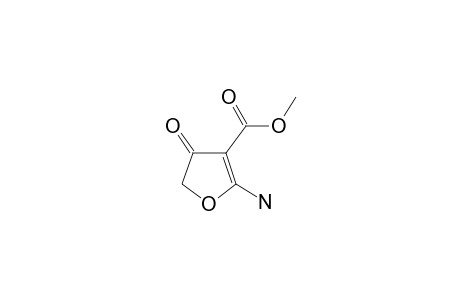 2-amino-4-keto-furan-3-carboxylic acid methyl ester