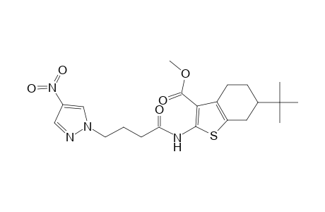 1-Benzothiophene-3-carboxylic acid, 6-(1,1-dimethylethyl)-4,5,6,7-tetrahydro-2-[[4-(4-nitro-1H-pyrazol-1-yl)-1-oxobutyl]amino]-, methyl ester