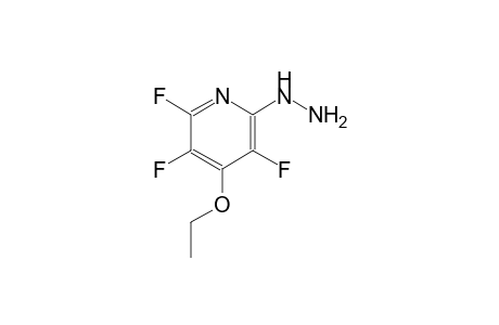 4-ethoxy-2,3,5-trifluoro-6-hydrazinopyridine