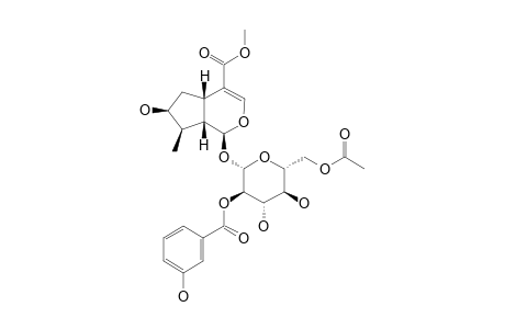 6'-ACETYL-2'-META-HYDROXYBENZOYL-LOGANIN