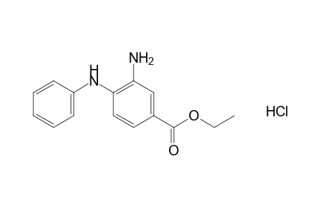 3-amino-4-anilinobenzoic acid, ethyl ester, monohydrochloride