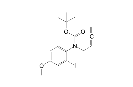 N-(2,3-Butadien-1-yl)-N-(tert-butoxycarbonyl)-2-iodo-4-methoxyaniline