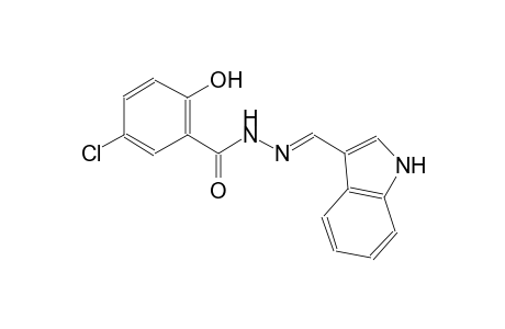 5-chloro-2-hydroxy-N'-[(E)-1H-indol-3-ylmethylidene]benzohydrazide