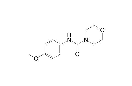 4-morpholinecarbox-p-anisidide