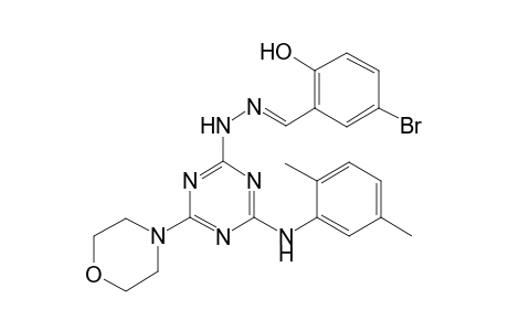 5-Bromo-2-hydroxybenzaldehyde [4-(2,5-dimethylanilino)-6-(4-morpholinyl)-1,3,5-triazin-2-yl]hydrazone
