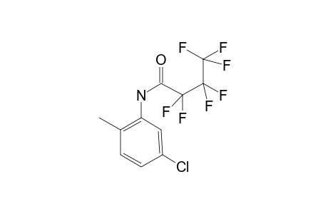 N-(5-Chloro-2-methyl-phenyl)-2,2,3,3,4,4,4-heptafluorobutanamide