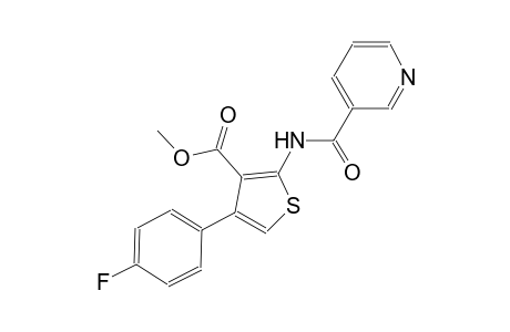 methyl 4-(4-fluorophenyl)-2-[(3-pyridinylcarbonyl)amino]-3-thiophenecarboxylate