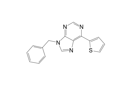 9-(Phenylmethyl)-6-thiophen-2-yl-purine