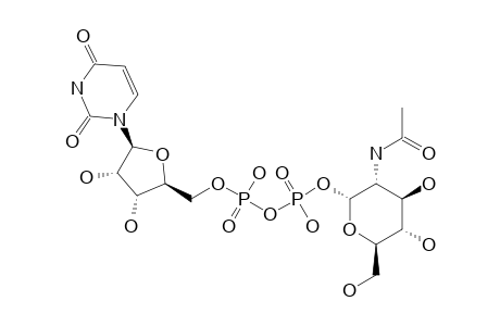 18O-LABELED-UDP-GLC-N-AC;URIDINE-5'-(2''-ACETAMIDO-2''-DEOXY-[1-18O]-ALPHA-D-GLUCOPYRANOSYL)-DIPHOSPHATE