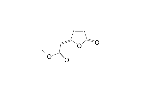 Methyl (Z)-2-[5-oxofuran-2(5H)-ylidene]acetate