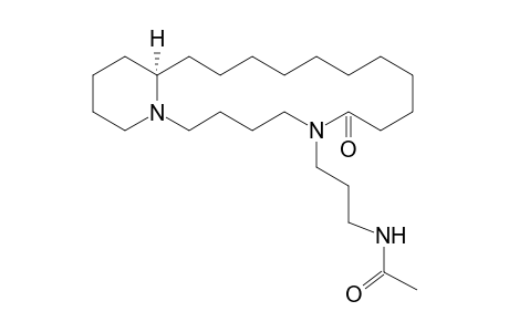 N-Acetylneooncinotine