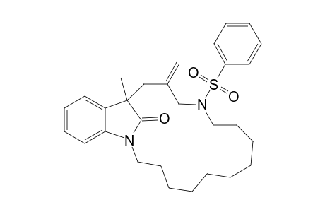 14-Methylene-16-methyl-12-(phenylsulfonyl)-1,12-diazatricyclo[10.8.1.0(17,22)]docosane-17,19,21-trien-22-one
