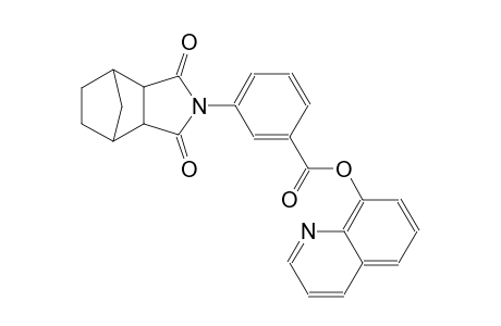 quinolin-8-yl 3-(1,3-dioxohexahydro-1H-4,7-methanoisoindol-2(3H)-yl)benzoate