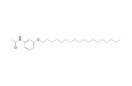 3'-(octadecyloxy)acetanilide